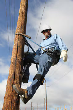 Strap, Pole, ADJ, 72" Web f/Distribution
