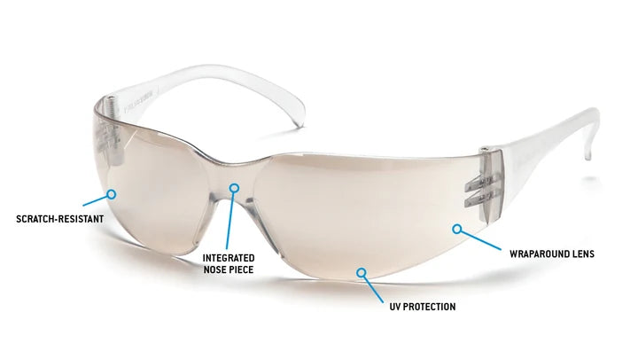 In/Outdoor Clear AntiFog Safety Glasses
